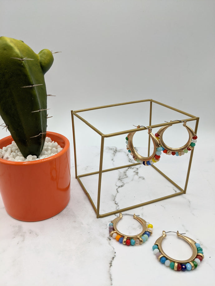 Multi Crystal Hoop Earrings